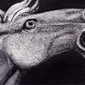 … but hearts? (detail)