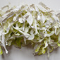 white lettuce