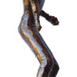 Gimnastika