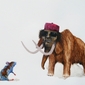 Muammar Mammoth Mouse
