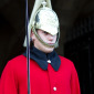 The Queen's Life Guard