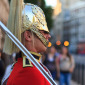 The Queen's Life Guard
