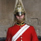 The Queen's Life Guard