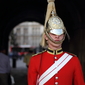 The Queen's Life Guard