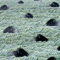 Flood