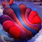 Anemone