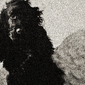Dark angel