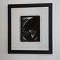 Framed and matted print