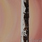 Sunset Birch #5