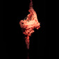 The Secure