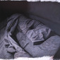 Bed3