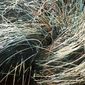 Herbes V