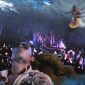 Summer of love