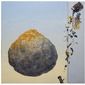 TERRE POLLUEE, TERRE VIOLEE.