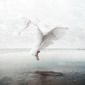 The White Sky