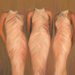 Supremes