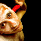 Self-portraits.