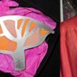 tree pinks oranges 