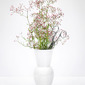 Vase mit Blumen und Schere.