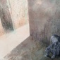 Andrew Rice