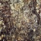 Callisto's Cave