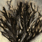 a Tree