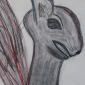 Squirrel #6,328