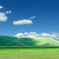 Green field panorama in a summer day