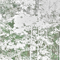 The Sun and the Trees and the Fall Wind (White), 1