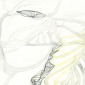 ...le uncertainty...