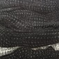 Reticular 2