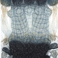 Reticular 4