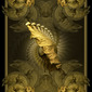 revocation partus #2