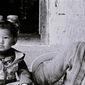 THE BUDDHA’S THEOCRACY 