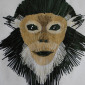 Monkey (1)