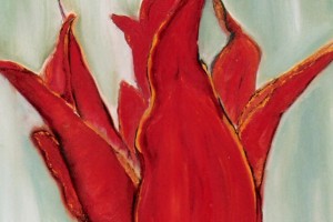 Linda-Ann Patchett