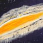 Galaxy Andromeda