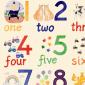 Numbers