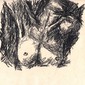 Breast