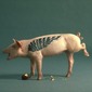 Artemis the Tattooed Pig