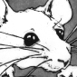 La souris