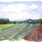 Afternoon / Après-Midi