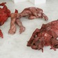 soft sculptures 4