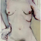 aries40