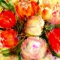 Shining Tulips