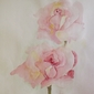 2 Roses