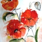 Poppies II