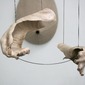 Hands
