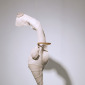 Sea Horse