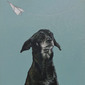 Doggy, 90x70cm